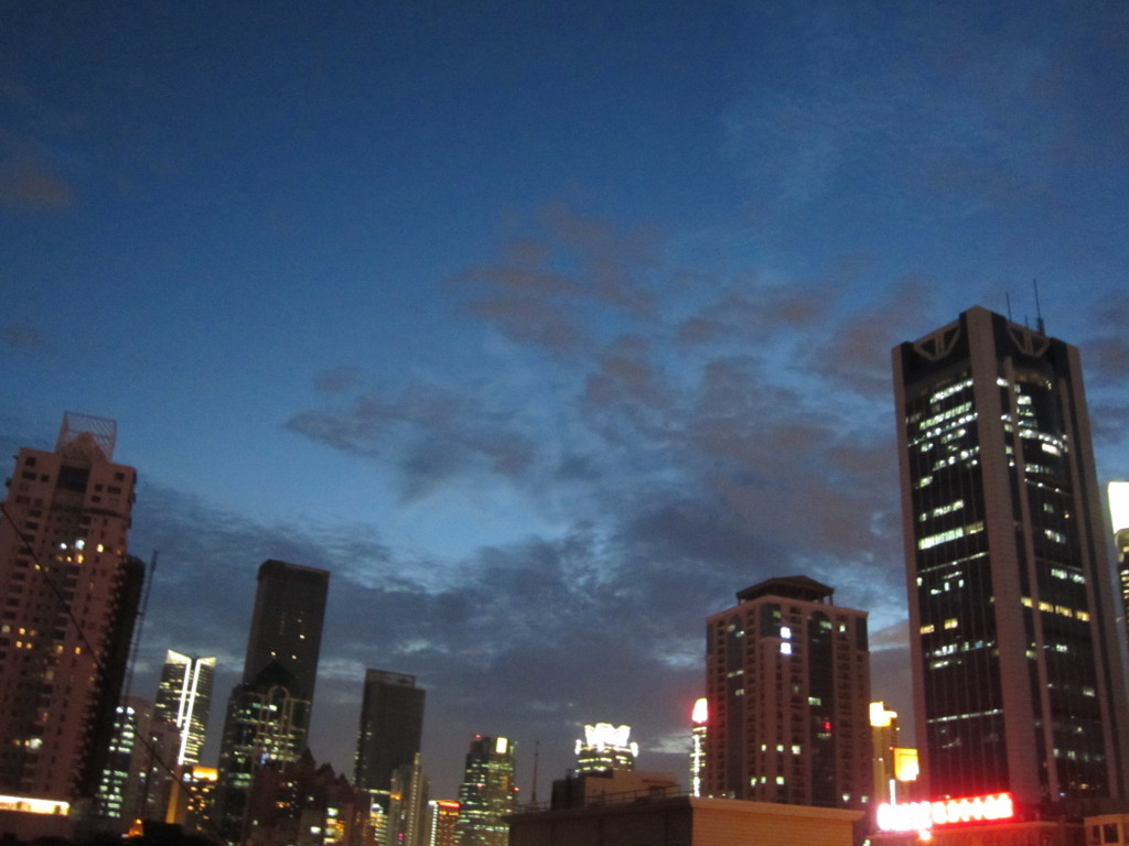 Shanghai Night City