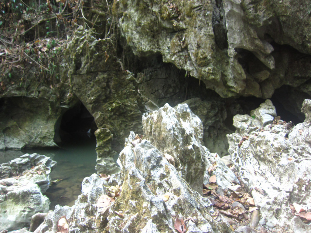 Khao Sok Cave
