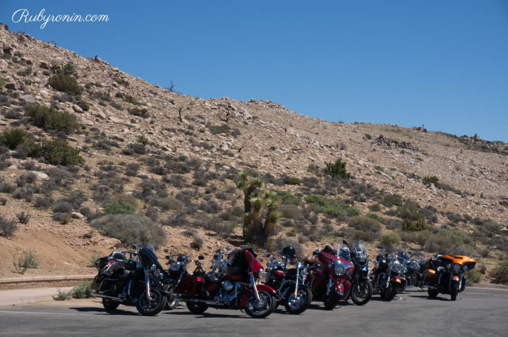 Socal Bikers at Joshua Tree